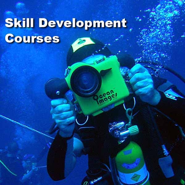 Skill Development Courses