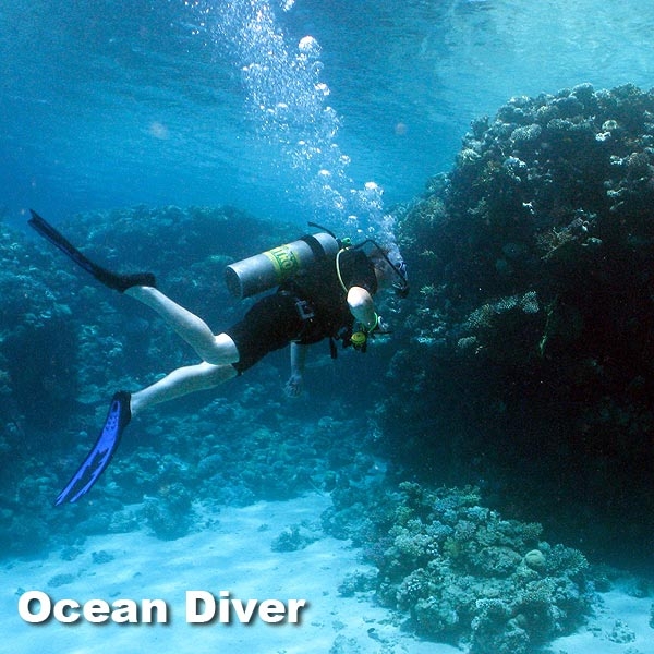 Ocean Diver