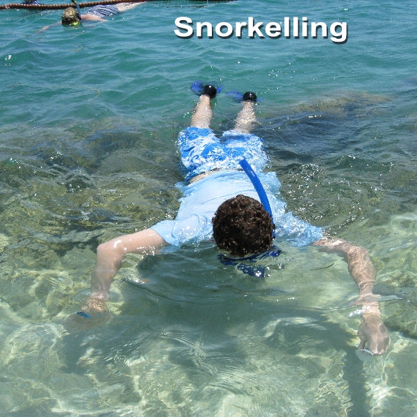 Try Snorkelling